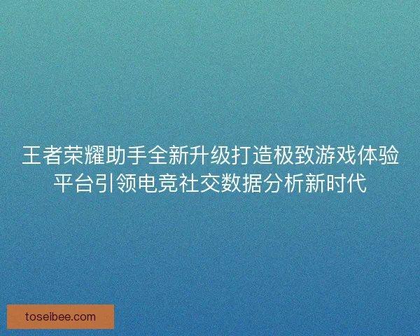 王者荣耀助手全新升级打造极致游戏体验平台引领电竞社交数据分析新时代